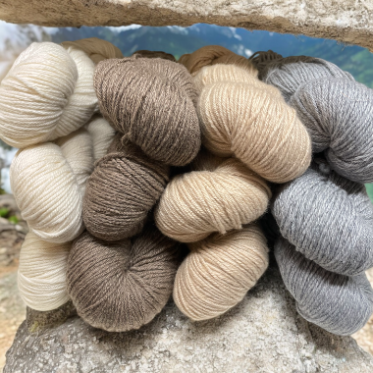 Noble Cashmere DK
