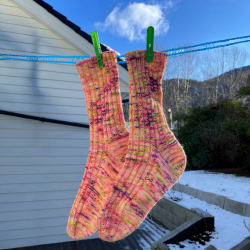 Pinnsvins enkle SOKKEOPPSKRIFT Voksen