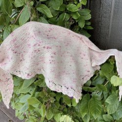 CHESTNUT Scarf