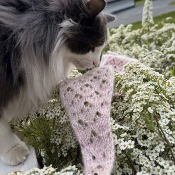 LUCY Scarf